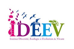 Audioguida IDEEV