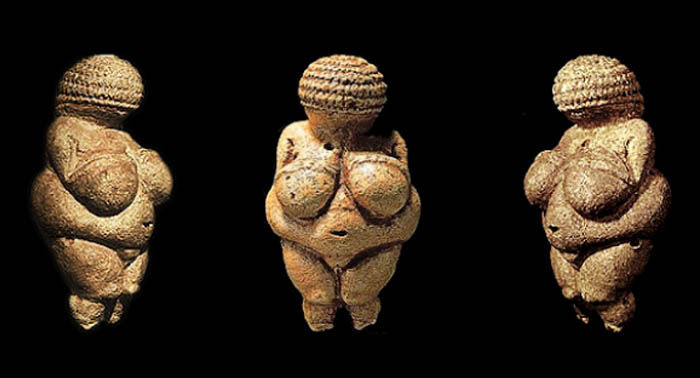 Audioguida di Vienna - Museo di Storia Naturale, la collezione (audioguide, audio tour)